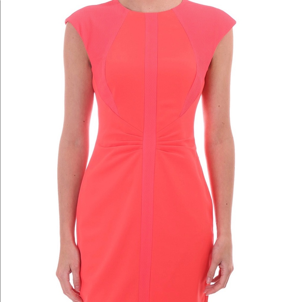 TED BAKER - Corral Mesh Panel Sheath Dress